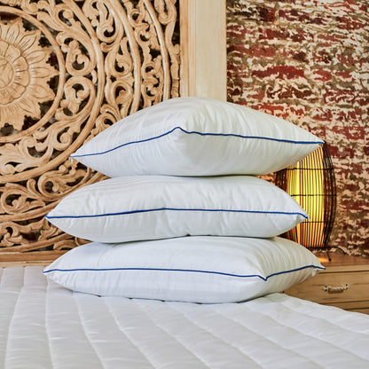 OFERTA PACK X 2 Almohadas 100% Algodón | Hotelera Luxury